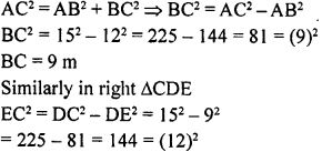 Ml Aggarwal Pythagoras Theorem Mcqs Class Icse Maths Solutions Icsehelp