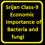 Srijan Class Economic Importance Of Bacteria And Fungi ICSE Biology Solutions ICSEHELP