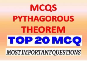 ML Aggarwal Pythagoras Theorem Exe 12 Class 9 ICSE Maths Solutions