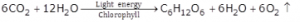 Represent the process of photosynthesis in the form of a balanced equation.