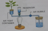 Que-2: Given below is the diagram of an apparatus used to study a particular phenomenon in plants: