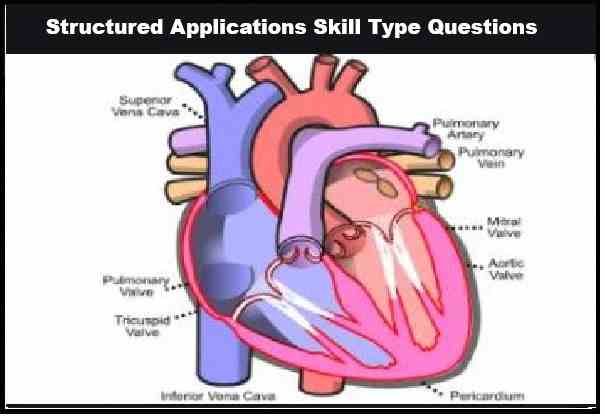 Circulatory System Class 10 Concise Structured Applications Type ICSE Biology Selina Solutions