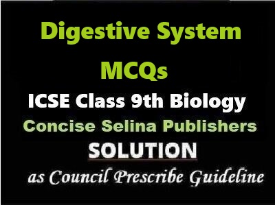 Digestive System MCQs Biology Class-9 ICSE Selina Publishers