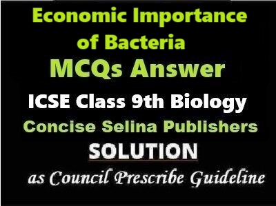 Economic Importance of Bacteria MCQs Biology Class-9 ICSE Selina Publishers Part A