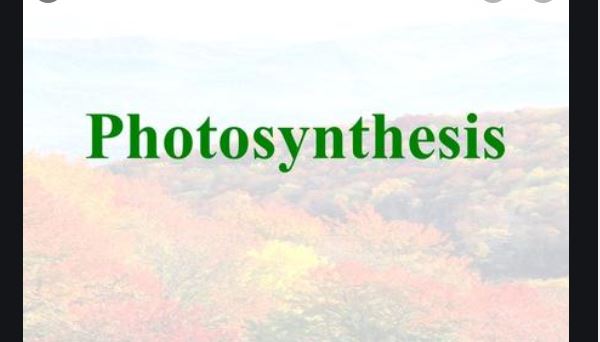 Photosynthesis ICSE Class-10 Concise Selina Biology Solutions