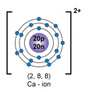 orbital diagram of ion and state the number of three fundamental particles present in it.