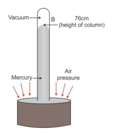 Pressure in Fluids Exe-4B Short Answer Physics Class-9 ICSE Selina ...