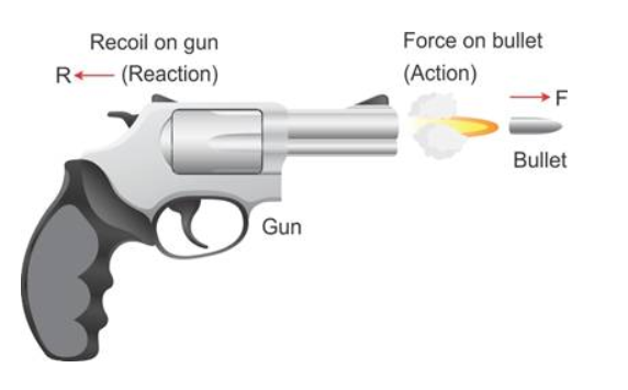 Exercise-3D Laws of Motion Concise ICSE Class-9 Selina Publishers ...