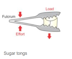 Sugar tongs is a lever of the third order as the effort is in the middle