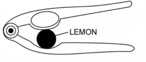 a lemon crusher.