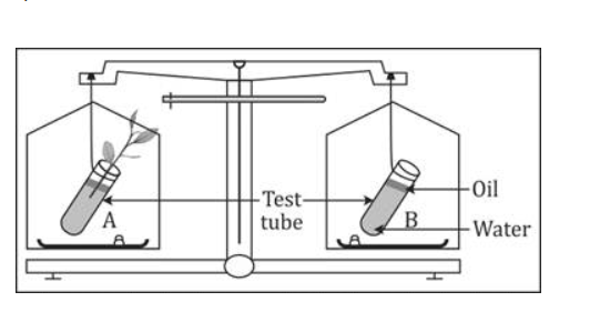 Transpiration ICSE Class-10 Concise Selina Solutions Chapter-5 - ICSEHELP