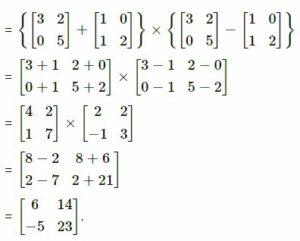 ML aggarwal class-10 matrices Chapter-test ans-5.1