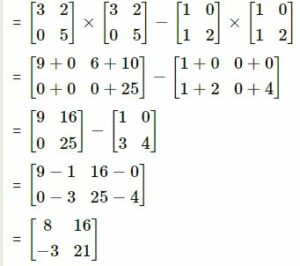 ML aggarwal class-10 matrices Chapter-test ans-5.2