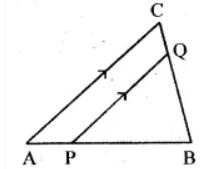  In the figure (ii) given below, PQ || AC, AP = 4 cm, PB = 6 cm and BC = 8 cm. Find CQ and BQ.