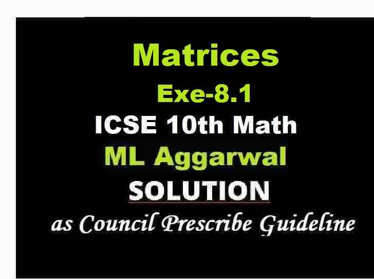 ML Aggarwal Matrices Exe-8.1 Class 10 ICSE Maths Solutions