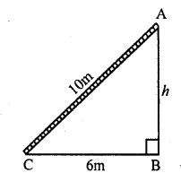 Foot of a 10 m long ladder leaning against a vertical well is 6 m away from the base of the wail. Find the height of the point on the wall where the top of the ladder reaches.