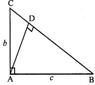 In the given figure, find the length of AD in terms of b and c.