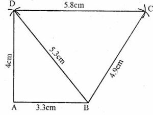Construct a quadrilateral ABCD in which AB = 3.3 cm, BC = 4.9 cm, CD = 5.8 cm, DA = 4 cm and BD = 5.3 cm.