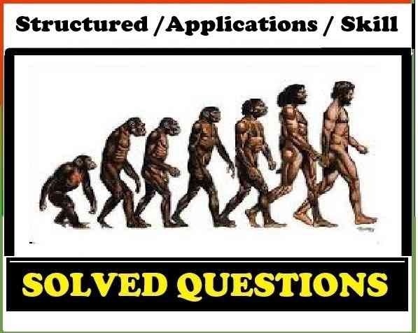 Structured Applications Questions of Human Evolution Class 10 Concise ICSE Biology Selina Solutions