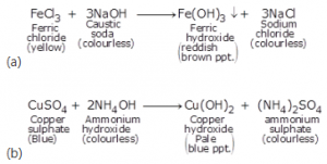 Write balanced equations: (a) Reaction of sodium hydroxide solution with iron (III) chloride solution. (b) Copper sulphate solution with ammonium hydroxide solution.