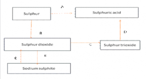 (a) Name the catalyst which helps in the conversion of sulphur dioxide to sulphur trioxide in step C.