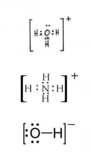 Chemical Bonding ICSE Class-10 Concise Chemistry Selina Solutions