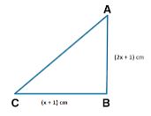  In △ABC, ∠B = 90°, AB = (2A + 1) cm and BC = (A + 1) cm. If the area of the △ABC is 60 cm2, find its perimeter.