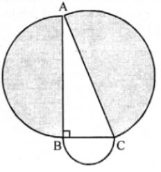 . In the adjoining figure, ABC is a right angled triangle right angled at B. Semicircles are drawn on AB, BC and CA as diameter. Show that the sum of areas of semicircles drawn on AB and BC as diameter is equal to the area of the semicircle drawn on CA as diameter.