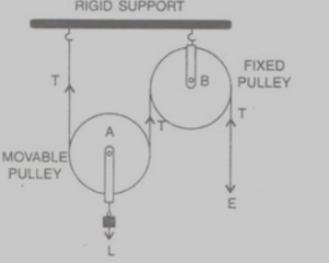arrangement of two pulleys, one fixed and other move able.