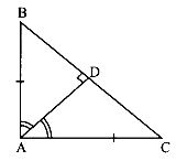 In the given figure, ABC is a right triangle with AB = AC. Bisector of ∠A meets BC at D. Prove that BC = 2AD.