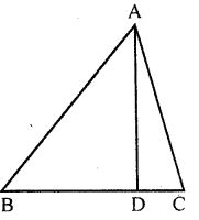 triangle ml class 9 chapter 10 img 48