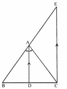 triangle ml class 9 chapter 10 img 60