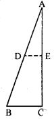  In the figure (2) given below, D and E are mid-points of the sides AB and AC respectively. If BC = 5.6 cm and∠B = 72°, compute (i) DE (ii)∠ADE.