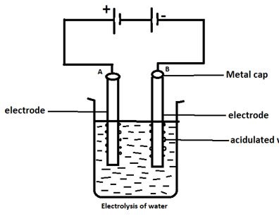 Electrolysis ICSE Class-10 Concise Chemistry Selina Solutions