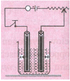 Que-7: Copper sulphate solution is electrolysed using a platinum anode. Study the diagram given alongside and answer the following questions: