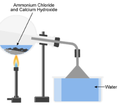 (a) Explain with a diagram the preparation of aqueous ammonia.