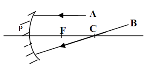 Sample Paper Physics Question 2 d