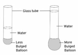 Describe an experiment to show that the liquid pressure at a point increases with the increase in height of the liquid column above that point.