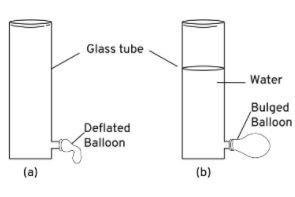 describe a suitable experiment to demonstrate that liquid exert pressure sidewise also