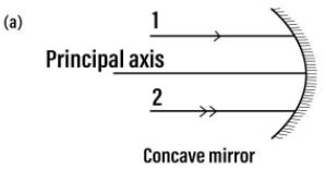 The diagram (figure) given below shows two parallel rays 1 and 2 incident on (a) a concave mirror,