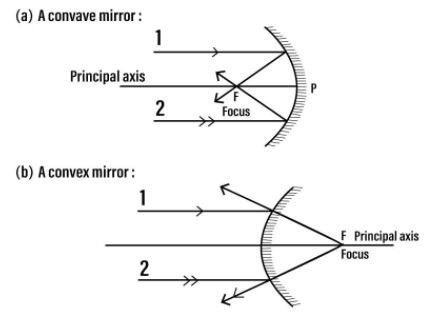  The diagram (figure) given below shows two parallel rays 1 and 2 incident on (a) a concave mirror, (b) a convex mirror. Draw the reflected rays and mark the focus by the symbol F