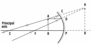 Draw a ray diagram to show the formation of image of an object placed between the pole and focus of a concave mirror. State the position, size and nature of the image.