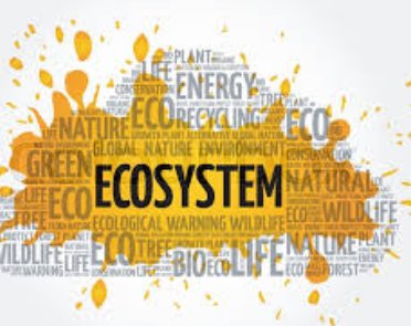 Ecosystems ICSE Class-8th Concise Selina Biology Solution
