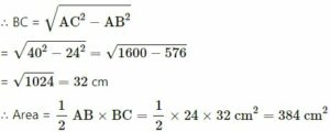 Exe - 20 A, Area of Trapezium and a Polygon ICSE Class-8th img 13