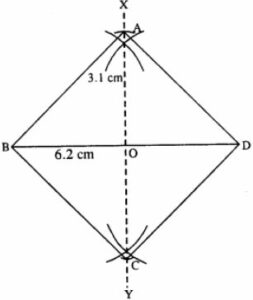 Construct a square, if :  one diagonal is 6.2 cm.