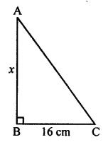 The area of a right-angled triangle is 160 cm2. If its one leg is 16 cm long, find the length of the other leg.