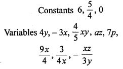 Fundamental Concept class -6 Concise Maths Exe-18 B Ans-1