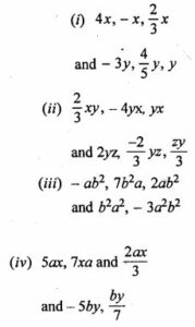 Fundamental Concept class -6 Concise Maths Exe-18 B Ans-2