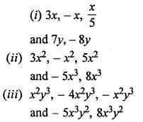 Fundamental Concept class -6 Concise Maths Exe-18 C Ans-2