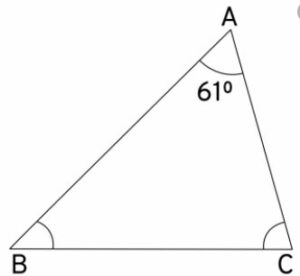 One angle of a triangle is 61° and the other two angles are in the ratio      112:113. Find these angles.